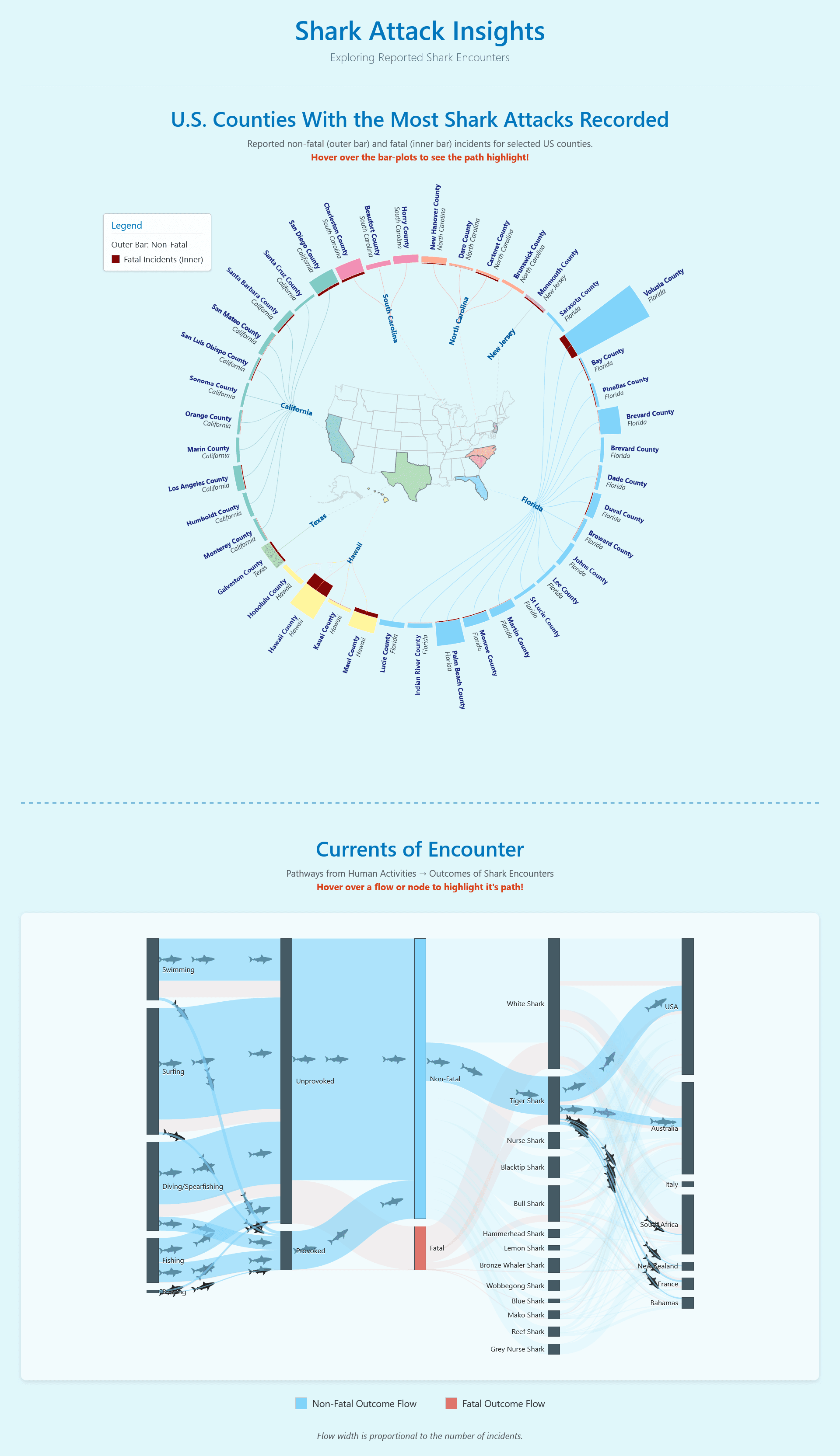 Shark Attack Insights